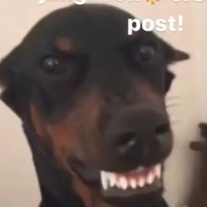 Meet your Posher, Chloe